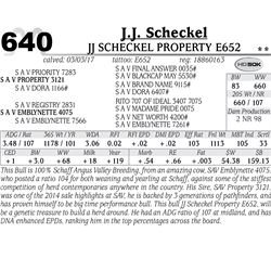 Lot - 640 - JJ Scheckel Property E652