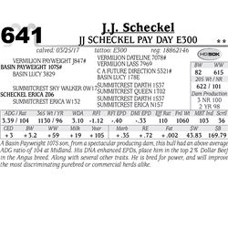 Lot - 641 - JJ Scheckel Pay Day E300