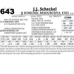 Lot - 643 - JJ Scheckel Resourceful E303