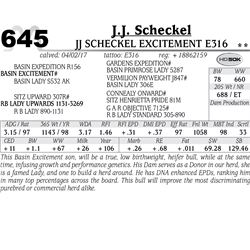 Lot - 645 - JJ Scheckel Excitement E316