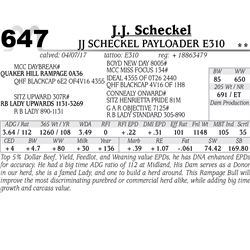 Lot - 647 - JJ Scheckel Payloader E310