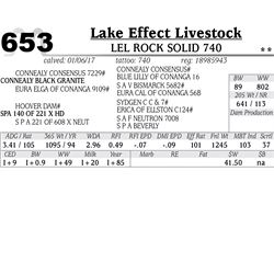 Lot - 653 - LEL Rock Solid 740