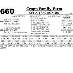 Lot - 660 - CFF Attraction 507