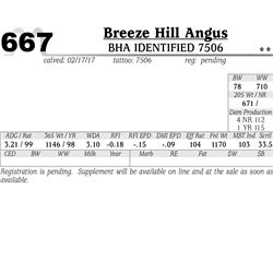 Lot - 667 - BHA Identified 7506