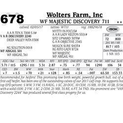 Lot - 678 - WF Majestic Discovery 711