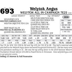 Lot - 693 - Welytok All In Campaign 7E25