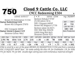 Lot - 750 - C9CC Redeeming E304