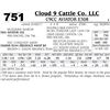 Image 1 : Lot - 751 - C9CC AVIATOR E308