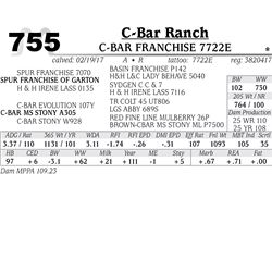 Lot - 755 - C-BAR FRANCHISE 7722E