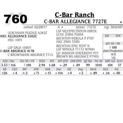 Lot - 760 - C-BAR ALLEGIANCE 7727E
