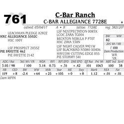 Lot - 761 - C-BAR ALLEGIANCE 7728E