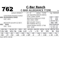 Lot - 762 - C-BAR ALLEGIANCE 7729E