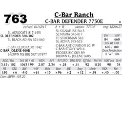 Lot - 763 - C-BAR DEFENDER 7730E