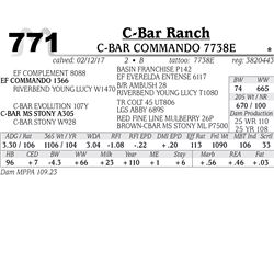 Lot - 771 - C-BAR COMMANDO 7738E