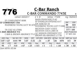 Lot - 776 - C-BAR COMMANDO 7743E