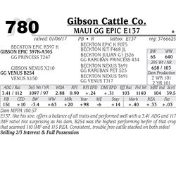 Lot - 780 - MAUI GG EPIC E137