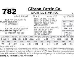 Lot - 782 - MAUI GG ELVIS E27