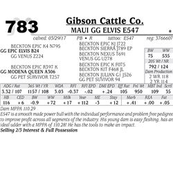 Lot - 783 - MAUI GG ELVIS E547