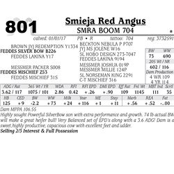 Lot - 801 - SMRA BOOM 704