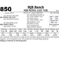 Lot - 850 - MJB ROYAL LAD 710E