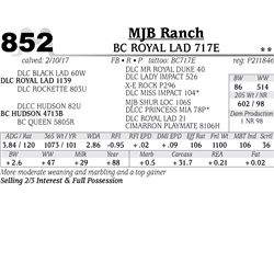 Lot - 852 - BC ROYAL LAD 717E