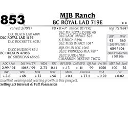 Lot - 853 - BC ROYAL LAD 719E