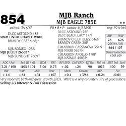 Lot - 854 - MJB EAGLE 785E