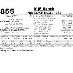 Lot - 855 - MJB BLACK EAGLE 726E