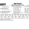 Image 1 : Lot - 857 - MJB EVOLUTION 737E