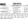 Image 1 : Lot - 862 - MJB EAGLE 777E