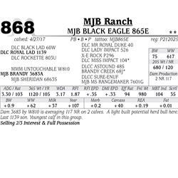 Lot - 868 - MJB BLACK EAGLE 865E