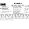Image 1 : Lot - 868 - MJB BLACK EAGLE 865E