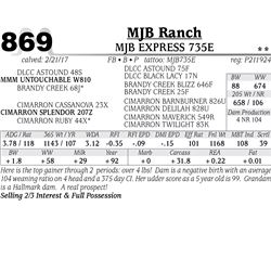 Lot - 869 - MJB EXPRESS 735E