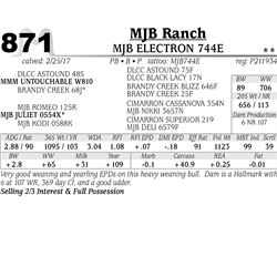 Lot - 871 - MJB ELECTRON 744E