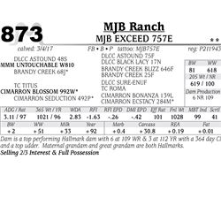 Lot - 873 - MJB EXCEED 757E