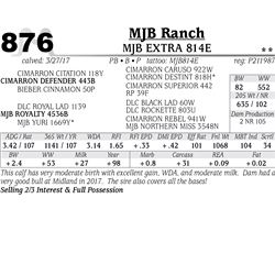 Lot - 876 - MJB EXTRA 814E