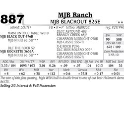 Lot - 887 - MJB BLACKOUT 825E