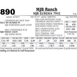 Lot - 890 - MJB EUREKA 791E