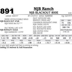 Lot - 891 - MJB BLACKOUT 800E