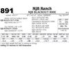 Image 1 : Lot - 891 - MJB BLACKOUT 800E