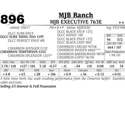 Lot - 896 - MJB EXECUTIVE 763E