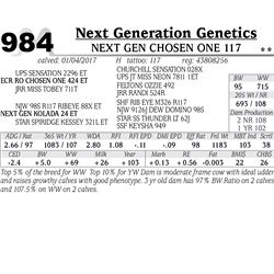 Lot - 984 - NEXT GEN CHOSEN ONE 117 {DLF,HYF,IEF}