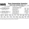 Image 1 : Lot - 985 - NEXT GEN CHOSEN ONE 177 {DLF,HYF,IEF}