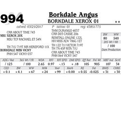 Lot - 994 - BORKDALE XEROX 01