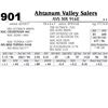 Image 1 : Lot - 901 - AVS MR 916E