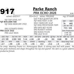 Lot - 917 - PRK ECHO 202E