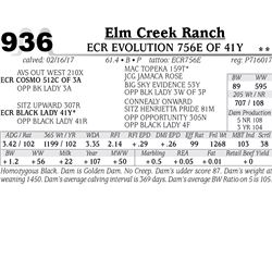 Lot - 936 - ECR EVOLUTION 756E OF 41Y