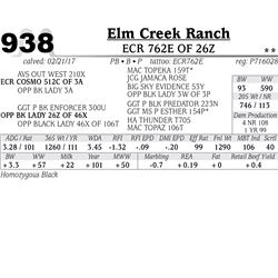 Lot - 938 - ECR 762E OF 26Z