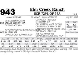 Lot - 943 - ECR 729E OF 37A