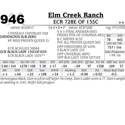 Lot - 946 - ECR 728E OF 135C